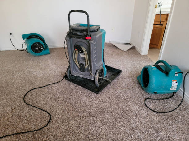 Best 24-hour water damage restoration  in Sunset, UT