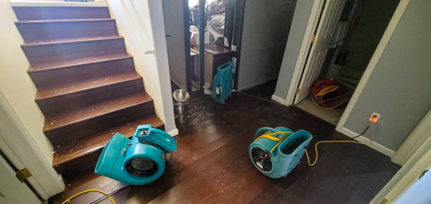 Best Sewage cleanup and water damage restoration  in Sunset, UT