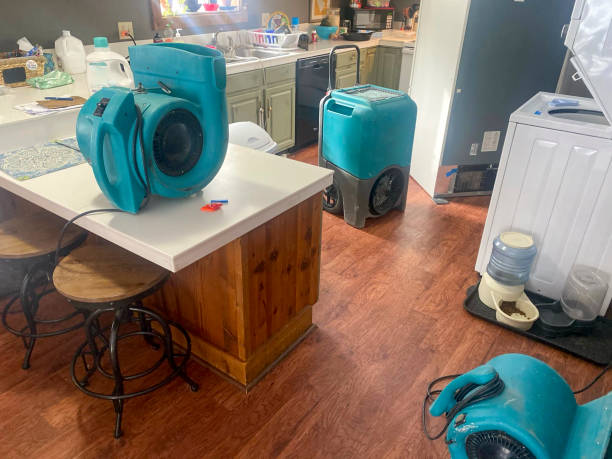 Best Water damage contractors near me  in Sunset, UT