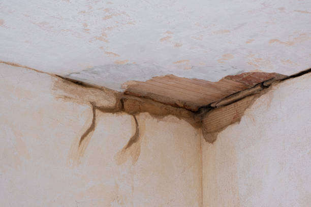 Best Water damage restoration near me  in Sunset, UT