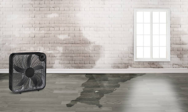 Best Flooded house restoration  in Sunset, UT