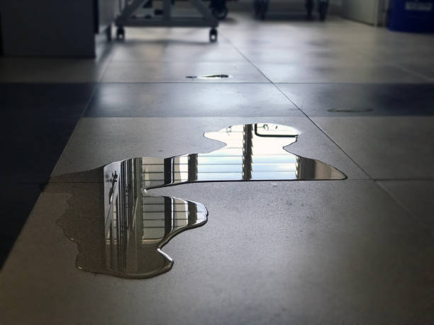 Best Professional water damage repair  in Sunset, UT